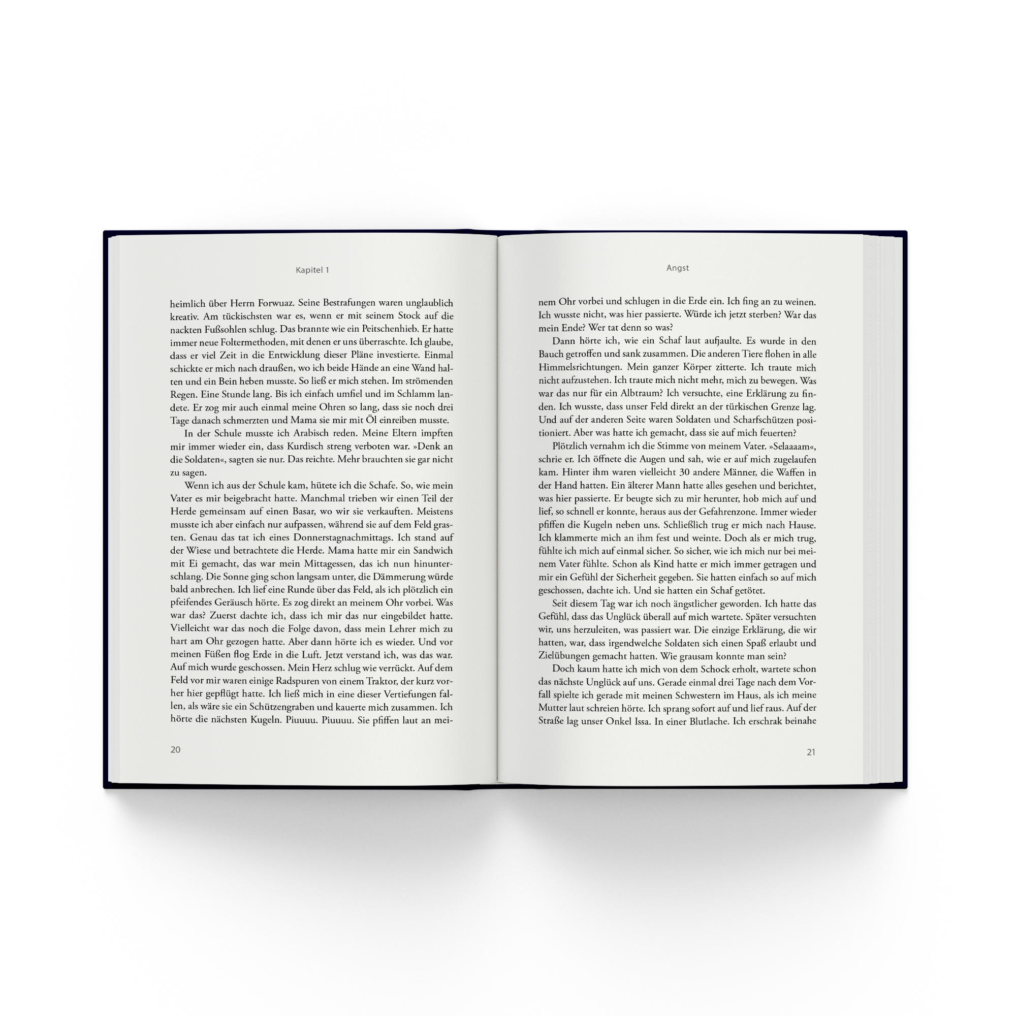 Niemand schlägt so hart zu wie das Schicksal. Aber ich habe es versucht.