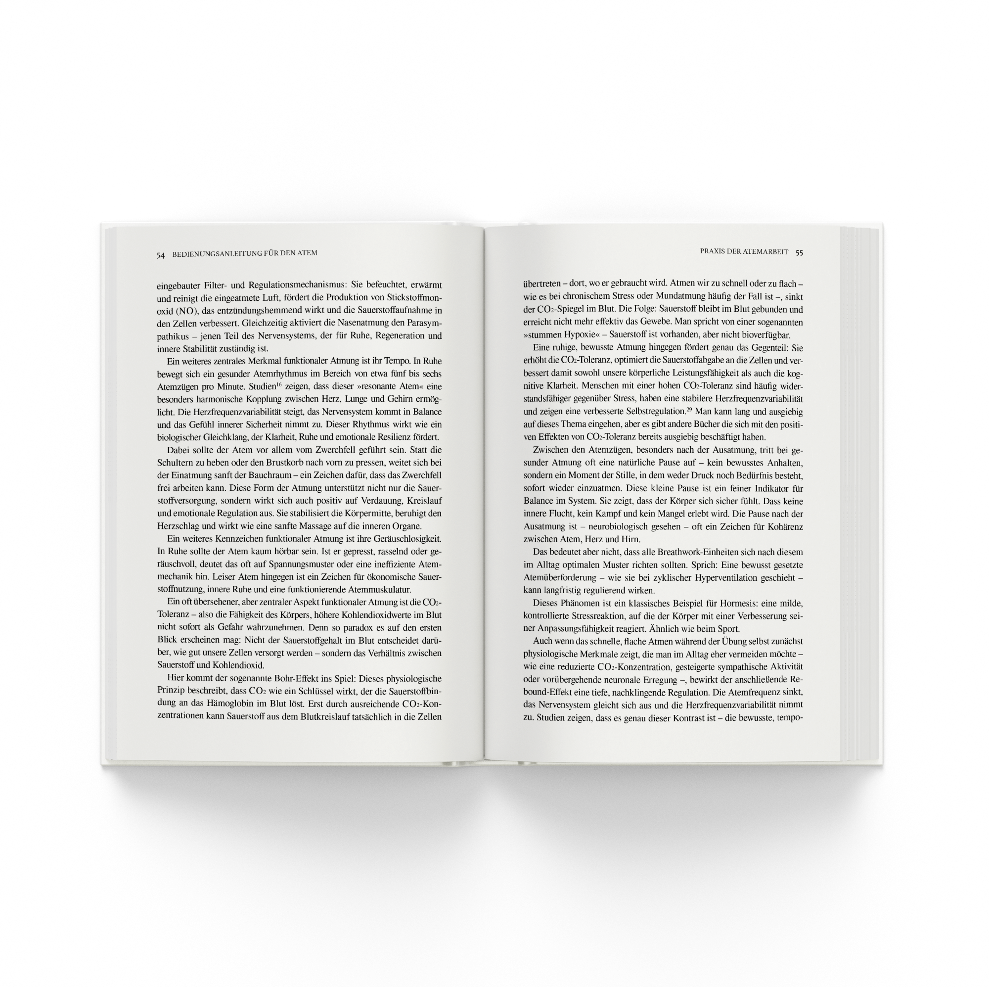 Atem – Die Lösung für dein Trauma