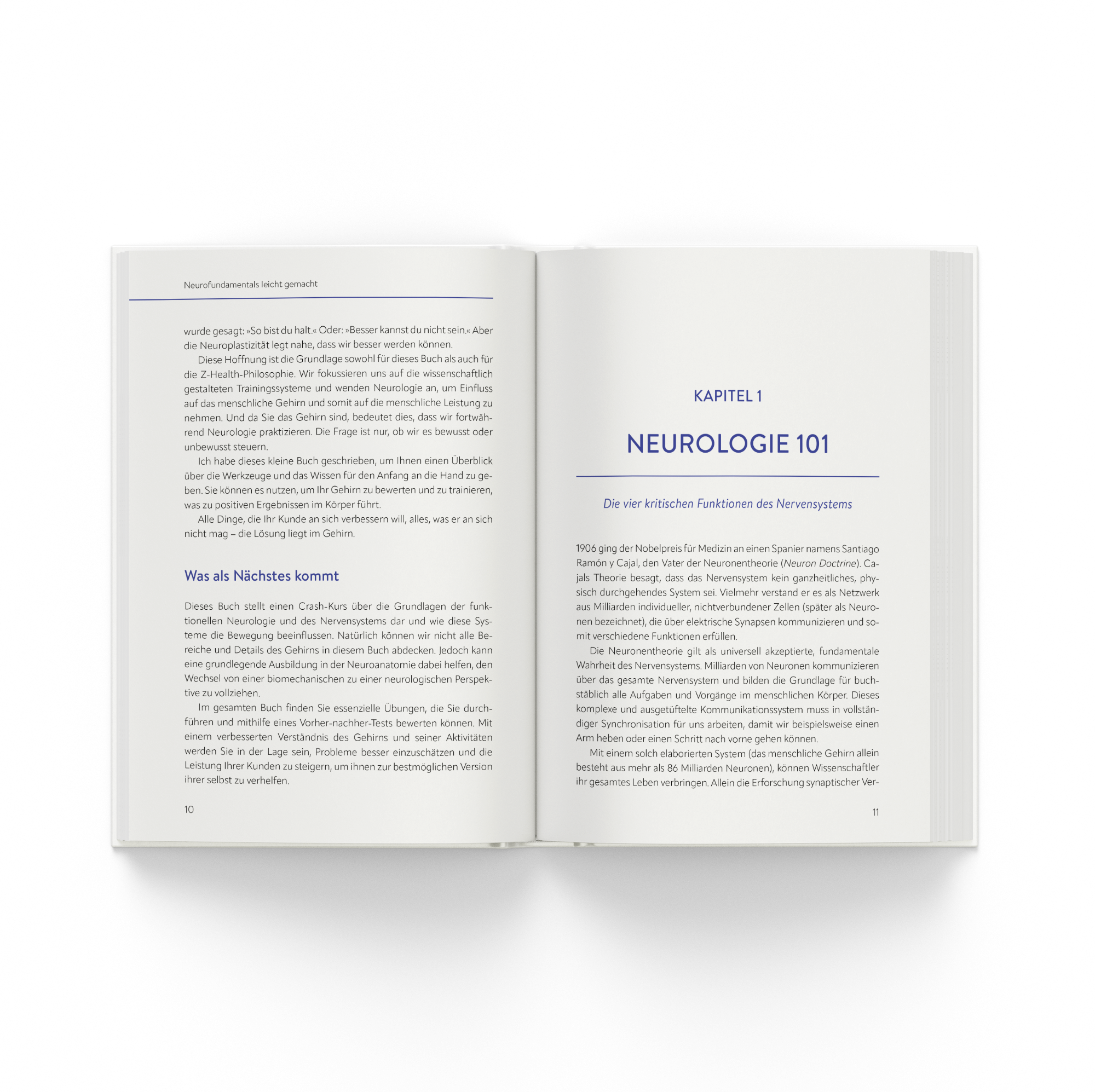 Neurofundamentals leicht gemacht – Neurozentriertes Training verständlich erklärt