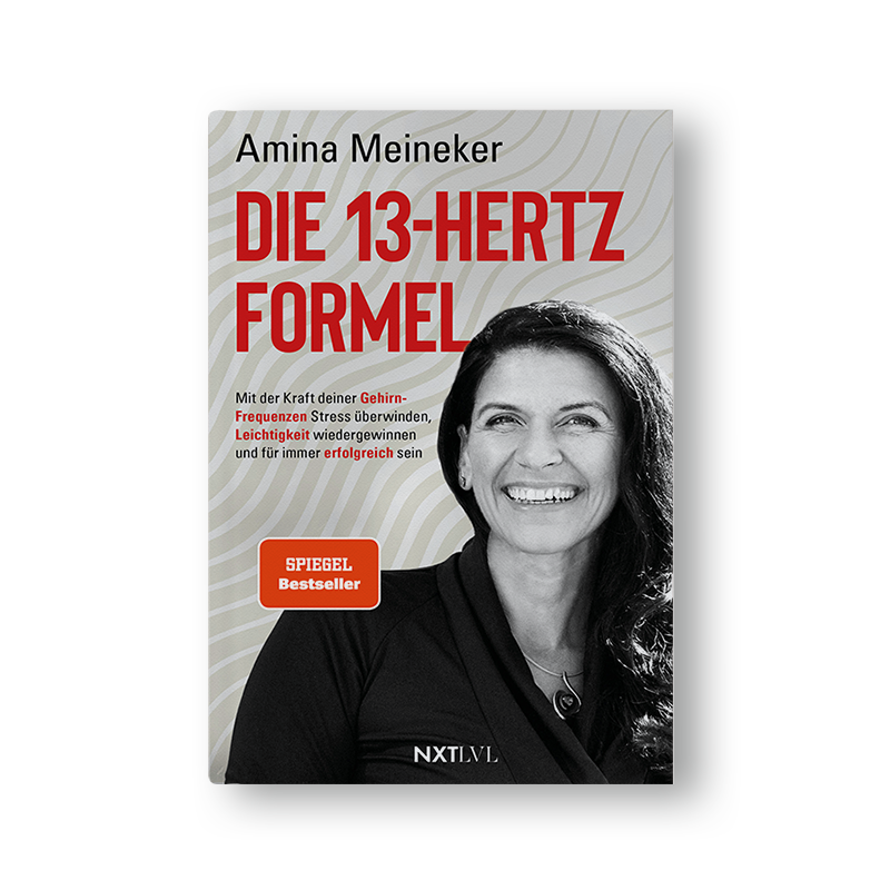 Die 13 Hertz Formel: Mit der Kraft deiner Gehirnfrequenzen Stress überwinden, Leichtigkeit wiedergewinnen und für immer erfolgreich sein.